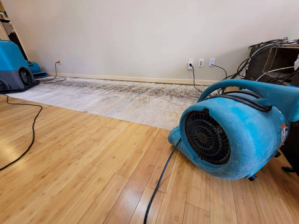 Professional Ceiling Water Damage Repair technician working in Lena, MS